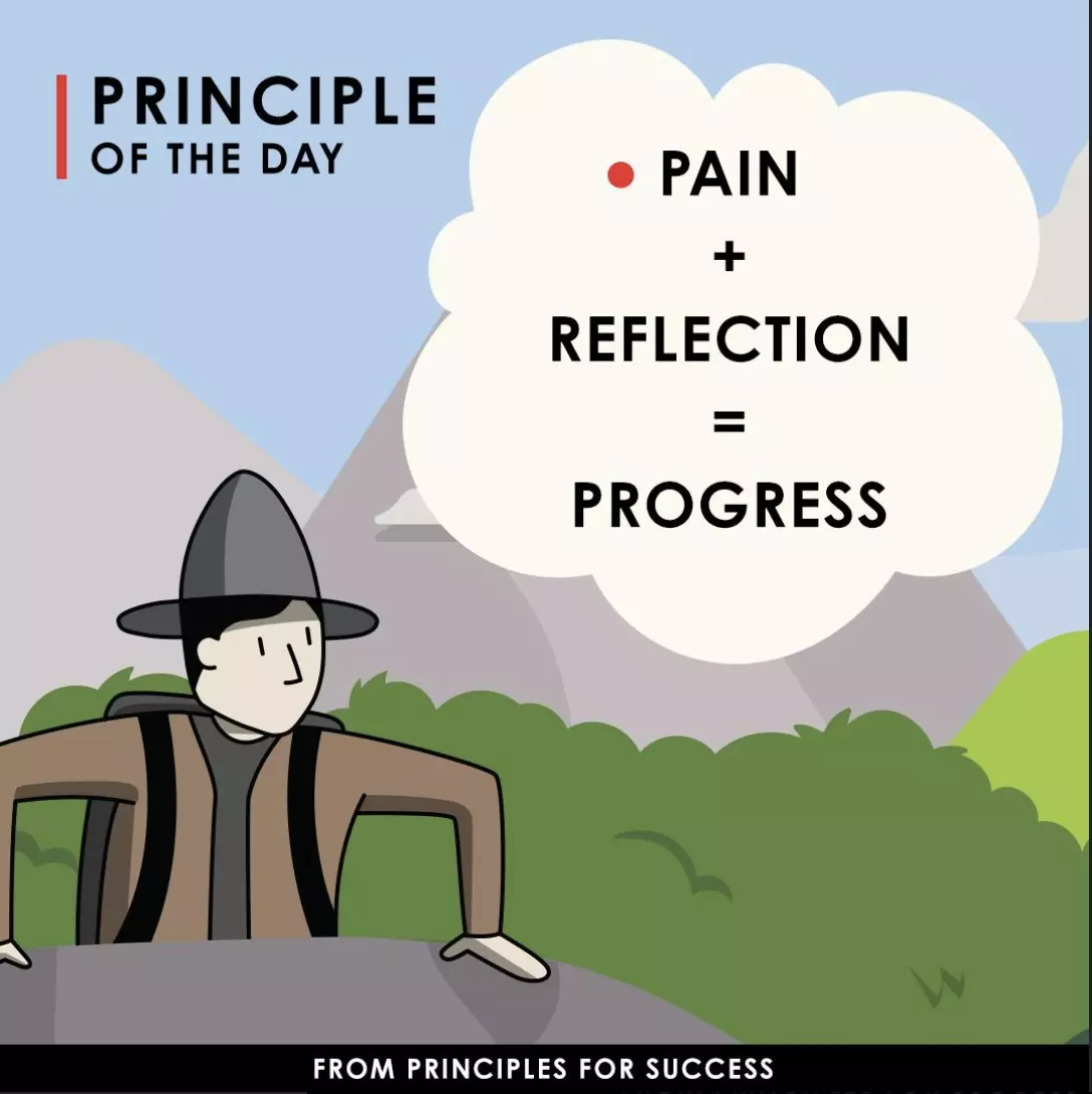 Pain + reflection = progress