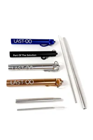 Metal Straw with Case